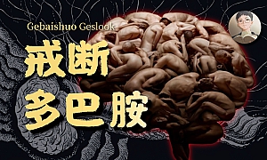 一个视频搞懂多巴胺 | 是瘾就能戒,用多巴胺自律上瘾!【白实验】