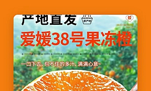 爱媛果冻橙
