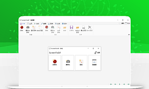 Gif动画录制工具Screen to Gif