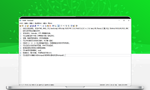 Notepad2 v4.22.01 (r4056) 简体中文绿色版