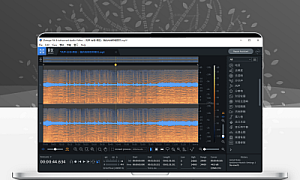 iZotope RX 8 Advanced v8.0.0.496中文版