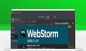 WebStorm 2021 软件安装教程