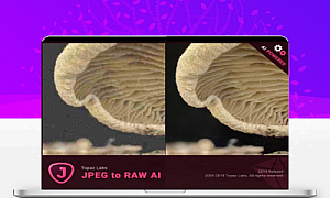 普通图片转高质量RAWTopaz JPEGtoRAW AI