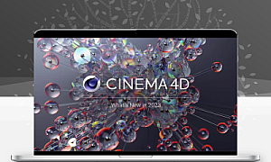 CINEMA 4D(C4D)R21