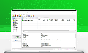 BitComet (比特彗星) v2.05 绿色免安装版