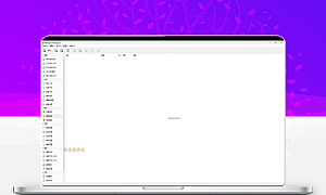 PDF Shaper Professional_v13.9 中文免安装即用版